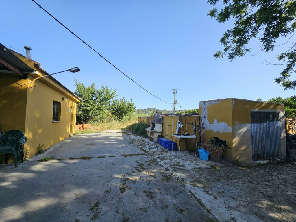 Farm San Martín de Tesorillo Cádiz - image 19
