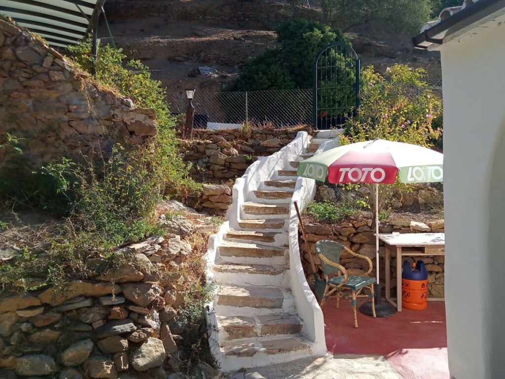 Finca - Cortijo Casares Málaga - image 19