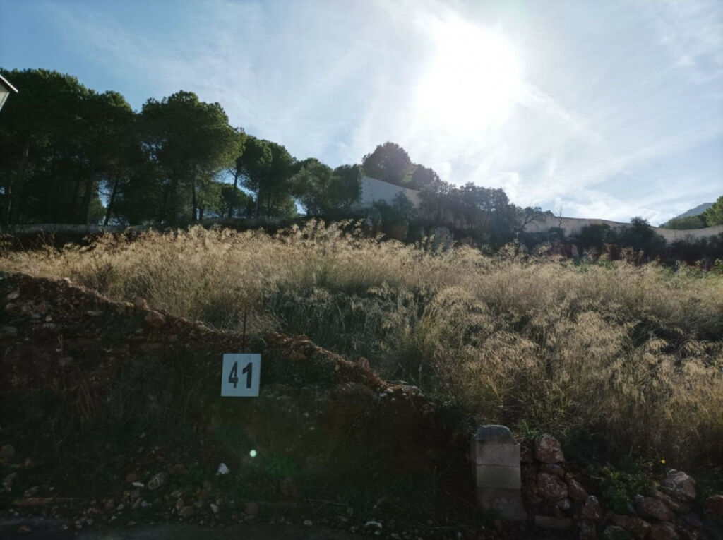 Residential Plot Alhaurín el Grande Málaga - image 16