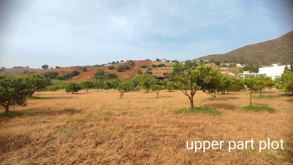 Finca - Cortijo La Cala Málaga - image 19