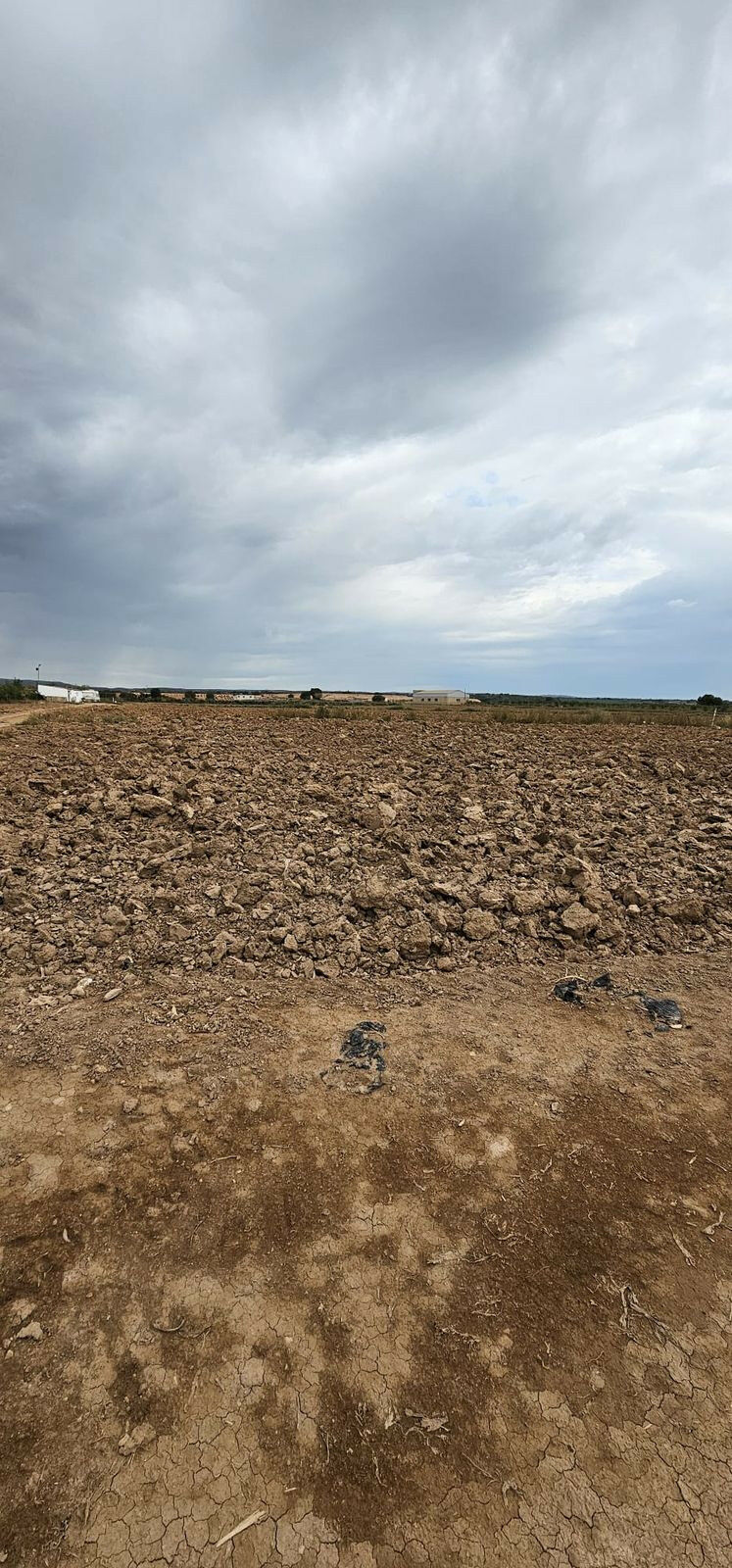 Commercial Plot Sucina Murcia - image 19