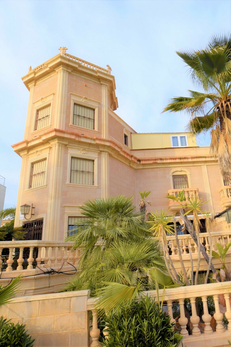 Detached Villa Guardamar del Segura Alicante - image 2