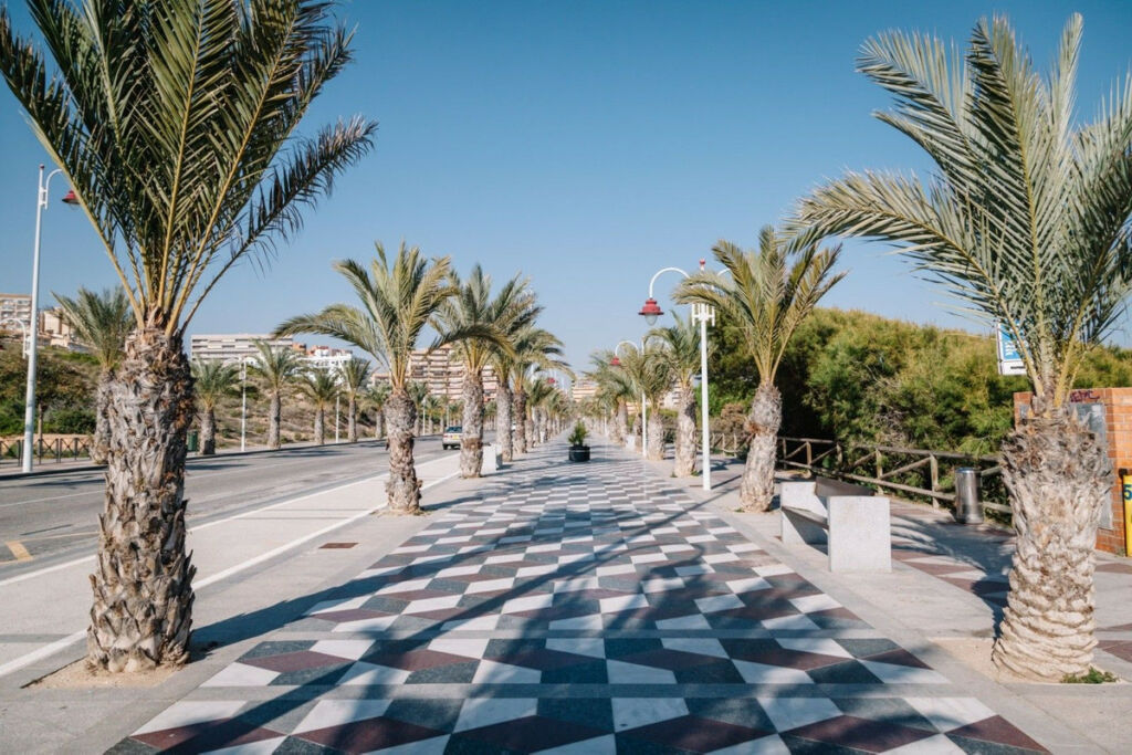 Middle Floor Apartment Arenales del Sol Alicante - image 4