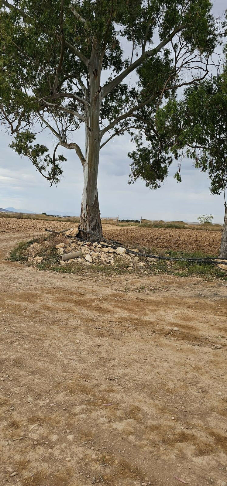 Commercial Plot Sucina Murcia - image 2