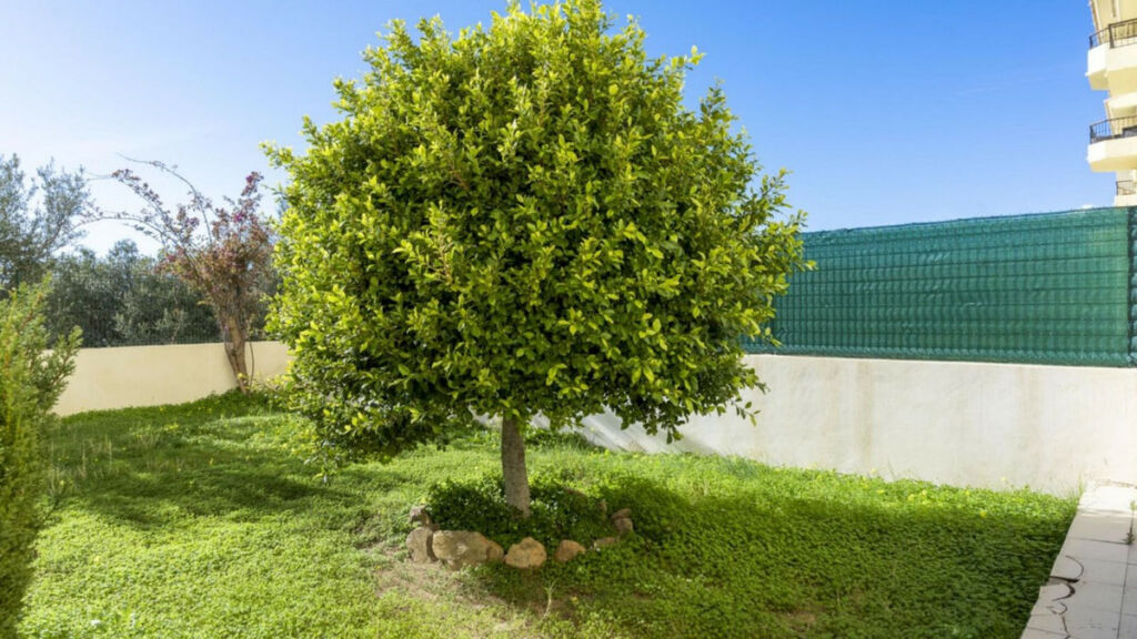 Ground Floor Apartment La Cala Málaga - image 2