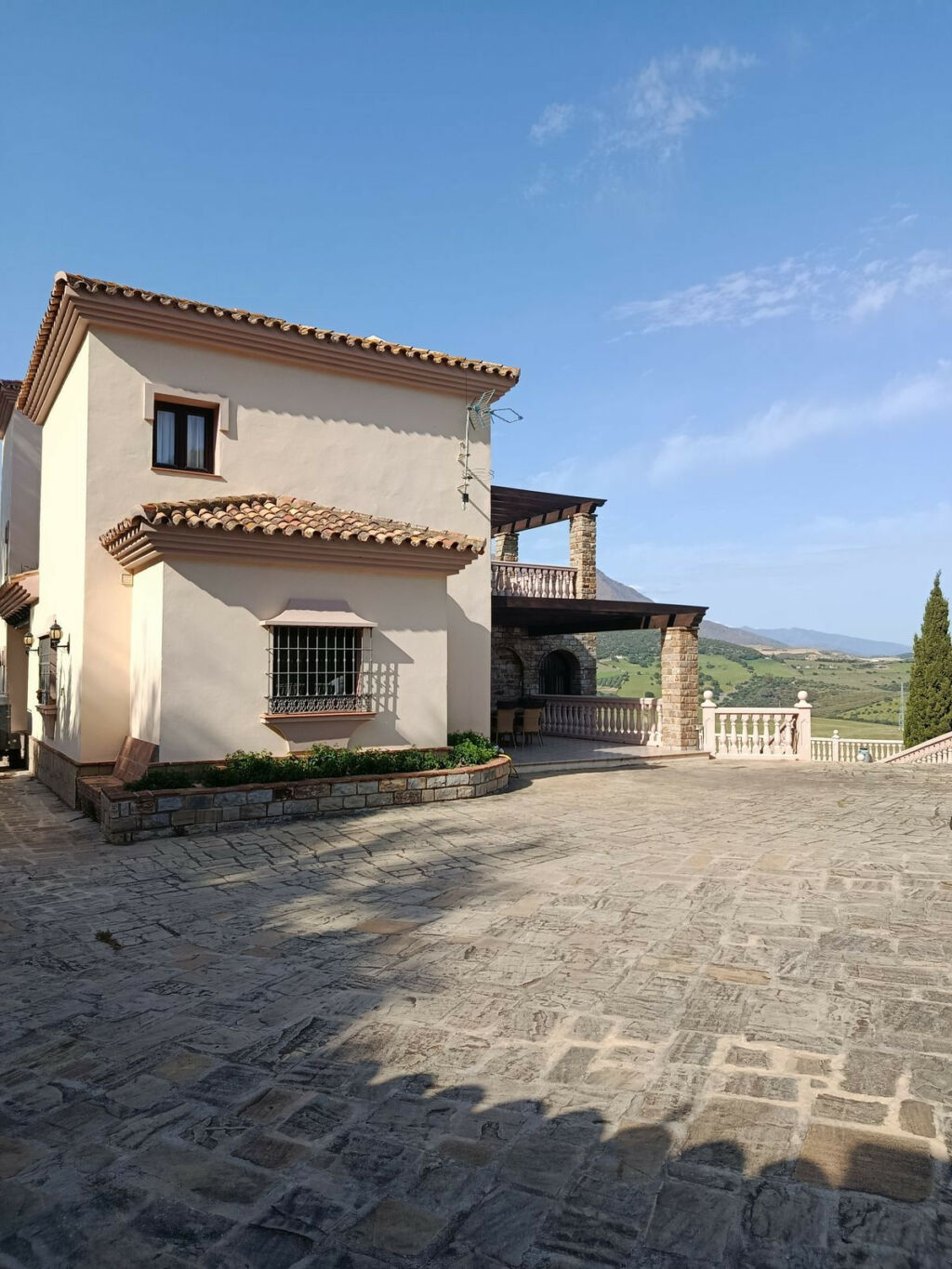 Detached Villa Casares Playa Málaga - image 2