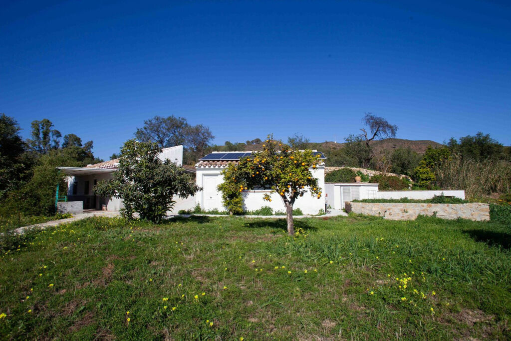 Finca - Cortijo Casarabonela Málaga - image 2