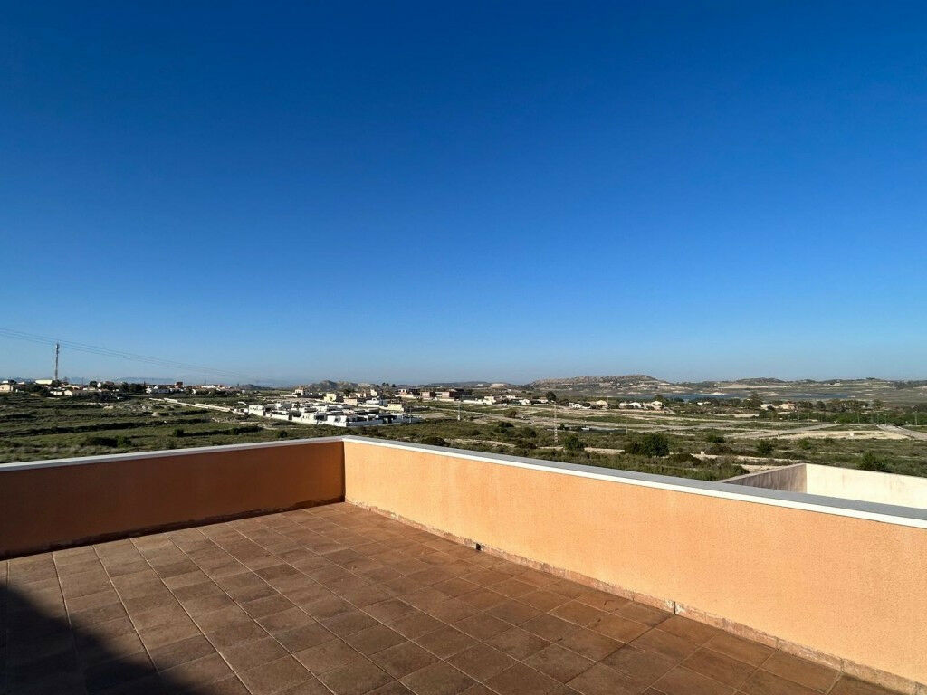Detached Villa Torremendo Alicante - image 2