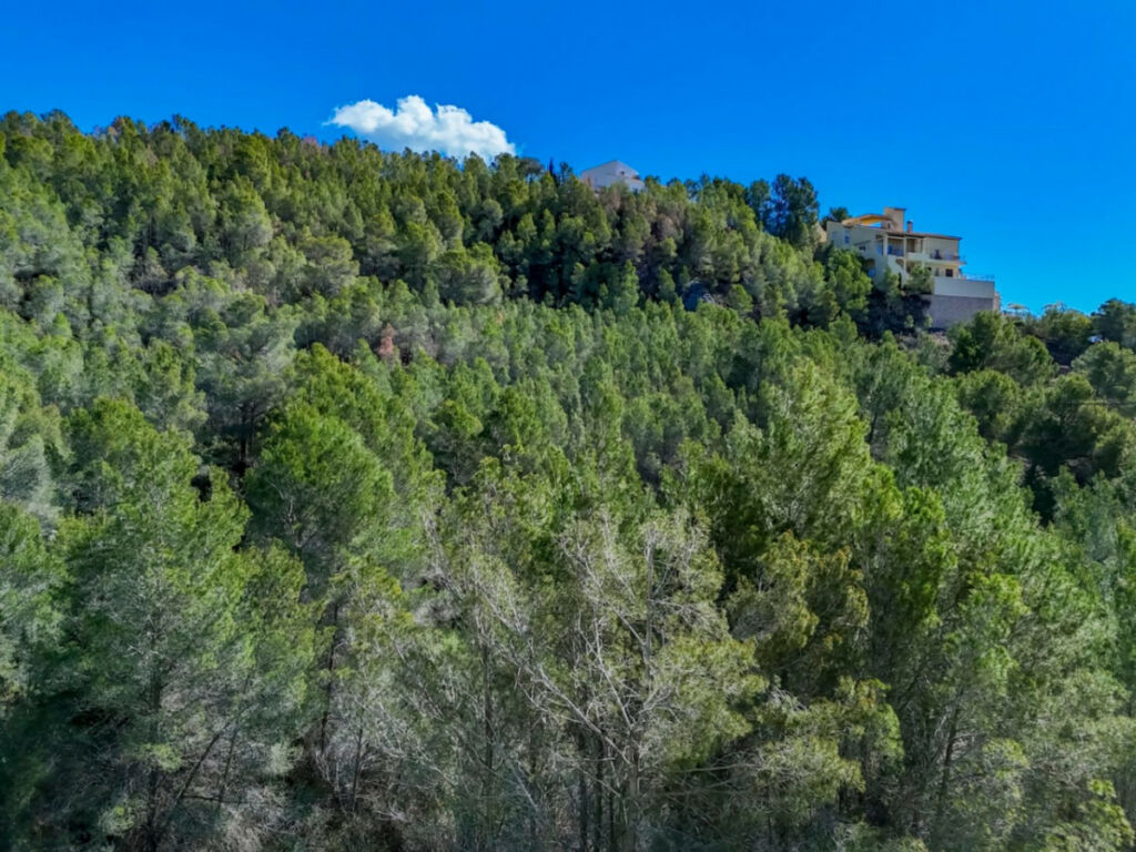 Land Callosa d'en Sarria Alicante - image 2
