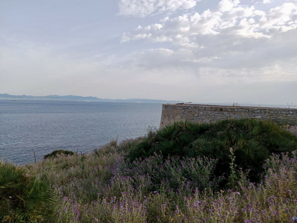 Land Tarifa Cádiz - image 2
