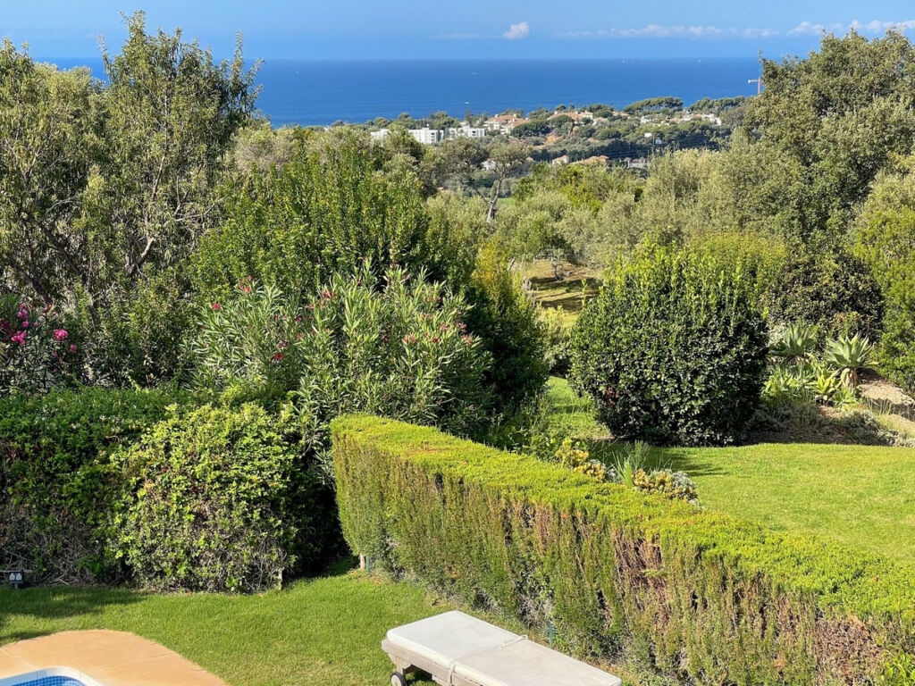 Detached Villa El Rosario Málaga - image 2