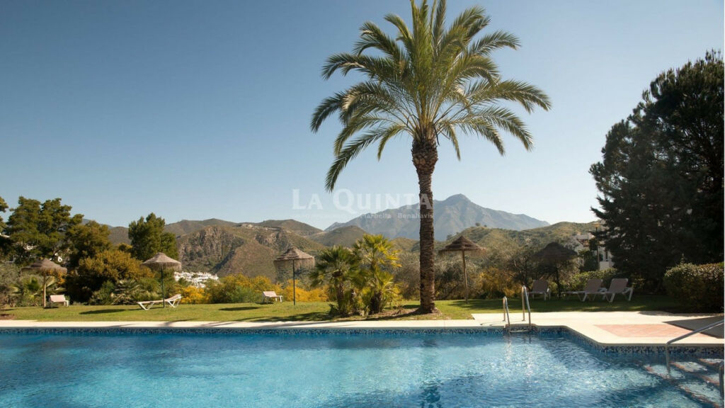 Ground Floor Apartment Benahavís Málaga - image 20