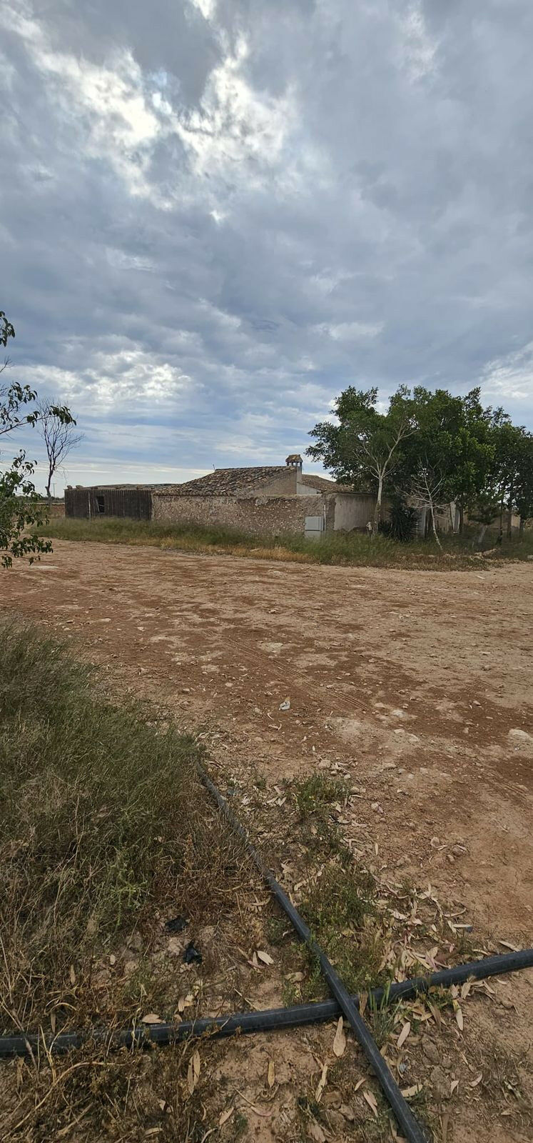 Commercial Plot Sucina Murcia - image 20