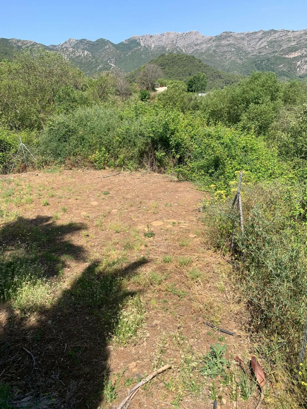 Finca - Cortijo Ojén Málaga - image 20