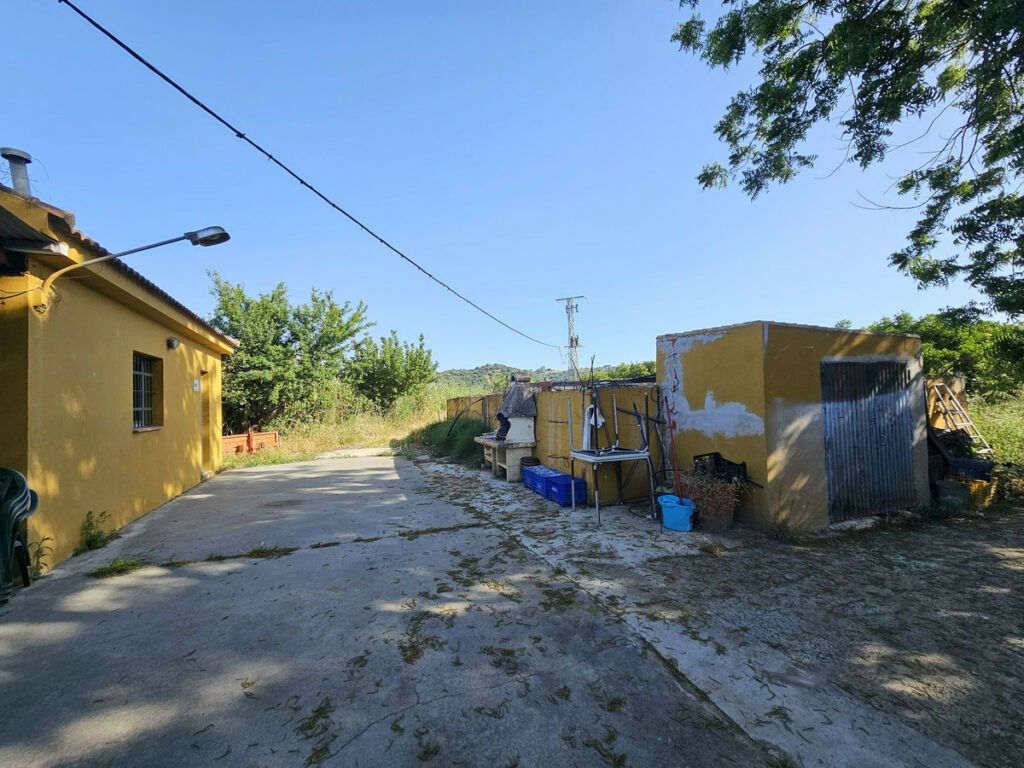 Farm San Martín de Tesorillo Cádiz - image 20