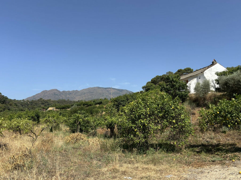 Land Estepona Málaga - image 21
