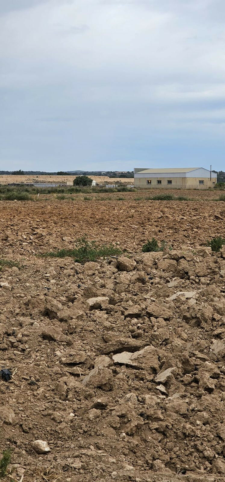 Commercial Plot Sucina Murcia - image 21