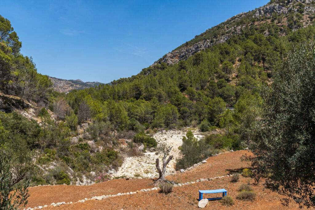 Finca - Cortijo Castell de Castells Alicante - image 21