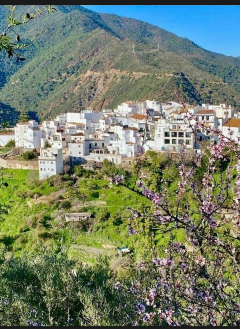 Townhouse Istán Málaga - image 21