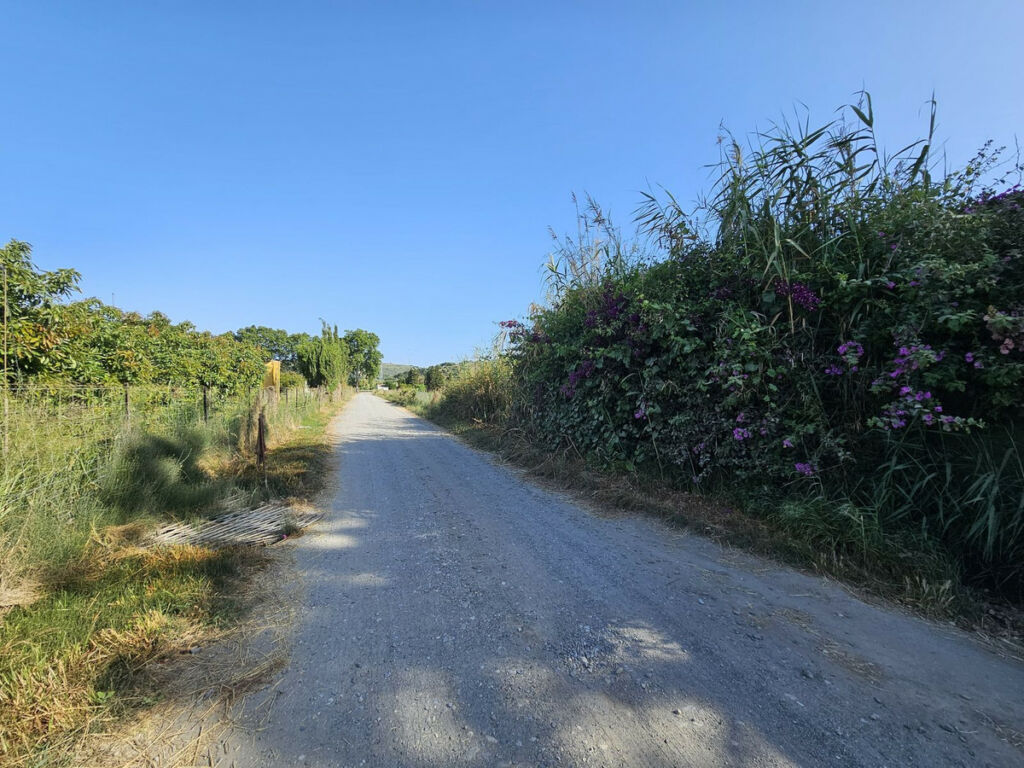 Farm San Martín de Tesorillo Cádiz - image 21