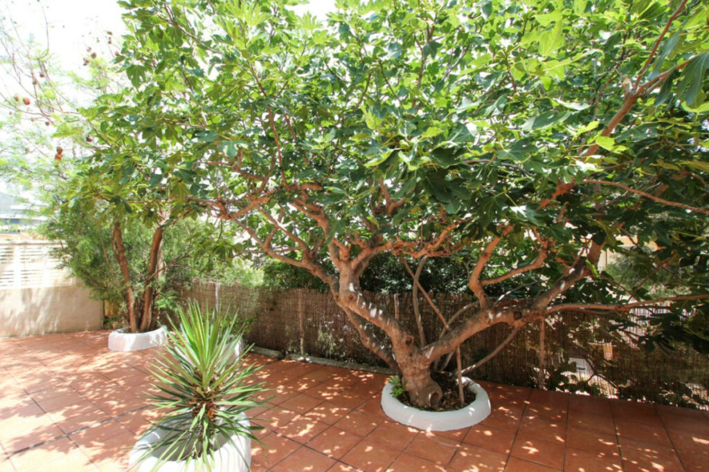Detached Villa Calpe Alicante - image 24