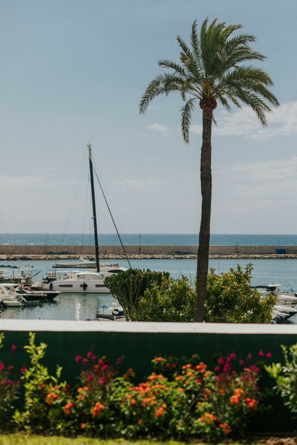 Ground Floor Apartment Estepona Málaga - image 23