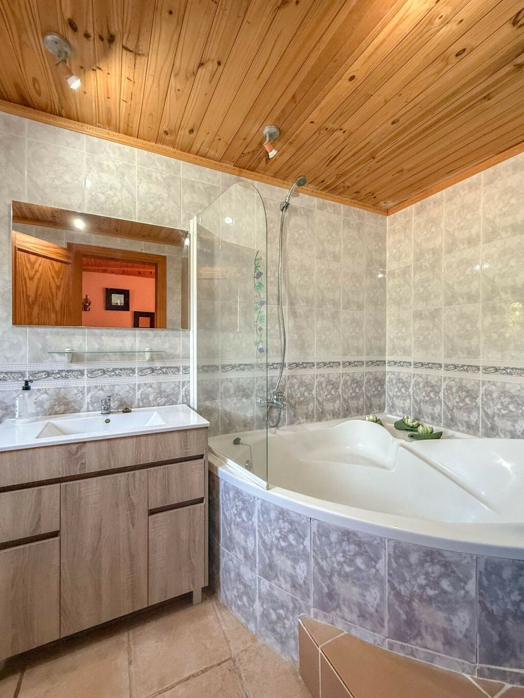 Detached Villa Cártama Málaga - image 23