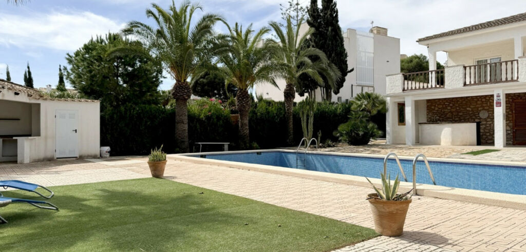 Detached Villa La Zenia Alicante - image 24