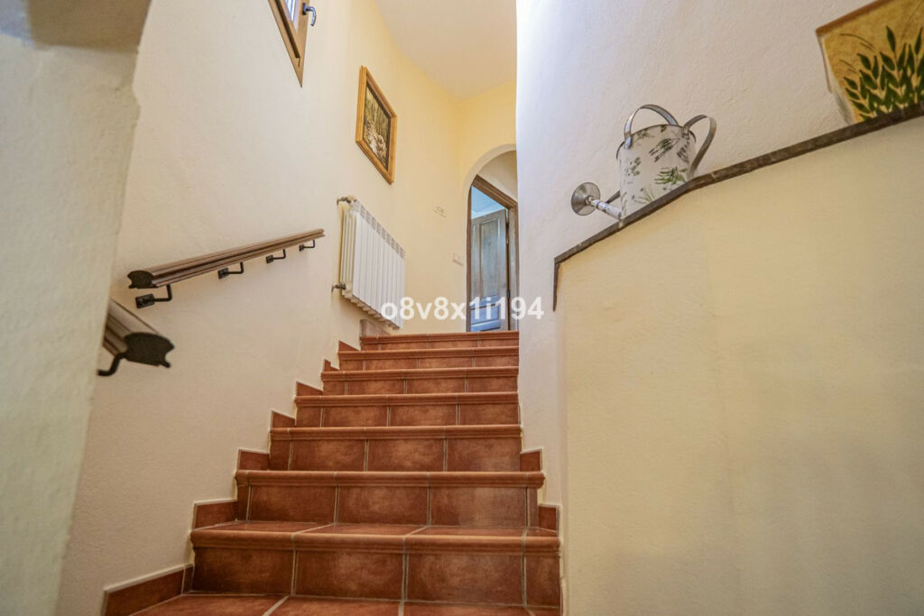 Detached Villa Cártama Málaga - image 24