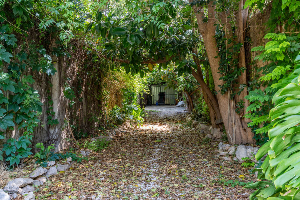 Townhouse Alcalali Alicante - image 24