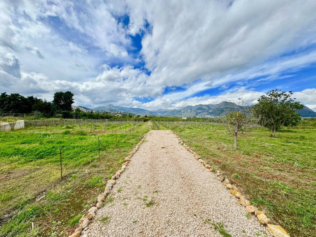 Finca - Cortijo Benidoleig Alicante - image 25