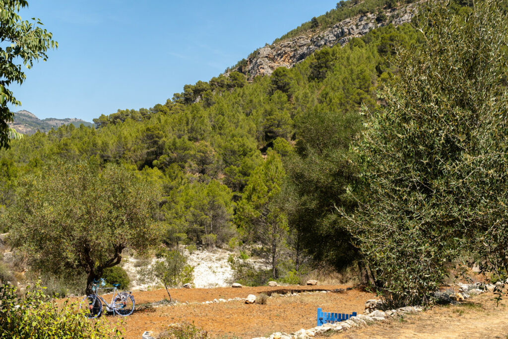 Finca - Cortijo Castell de Castells Alicante - image 25
