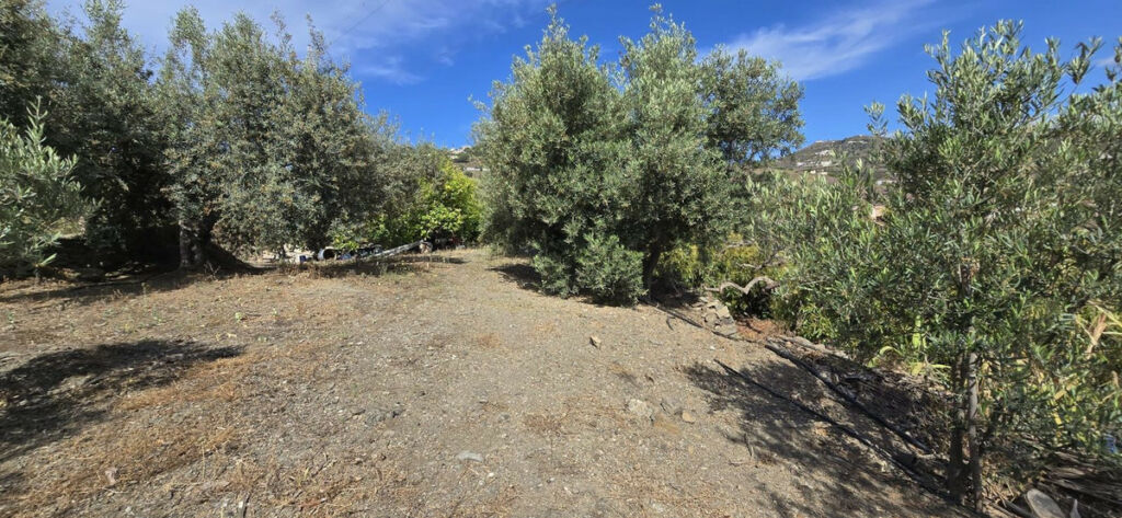 Detached Villa Nerja Málaga - image 25