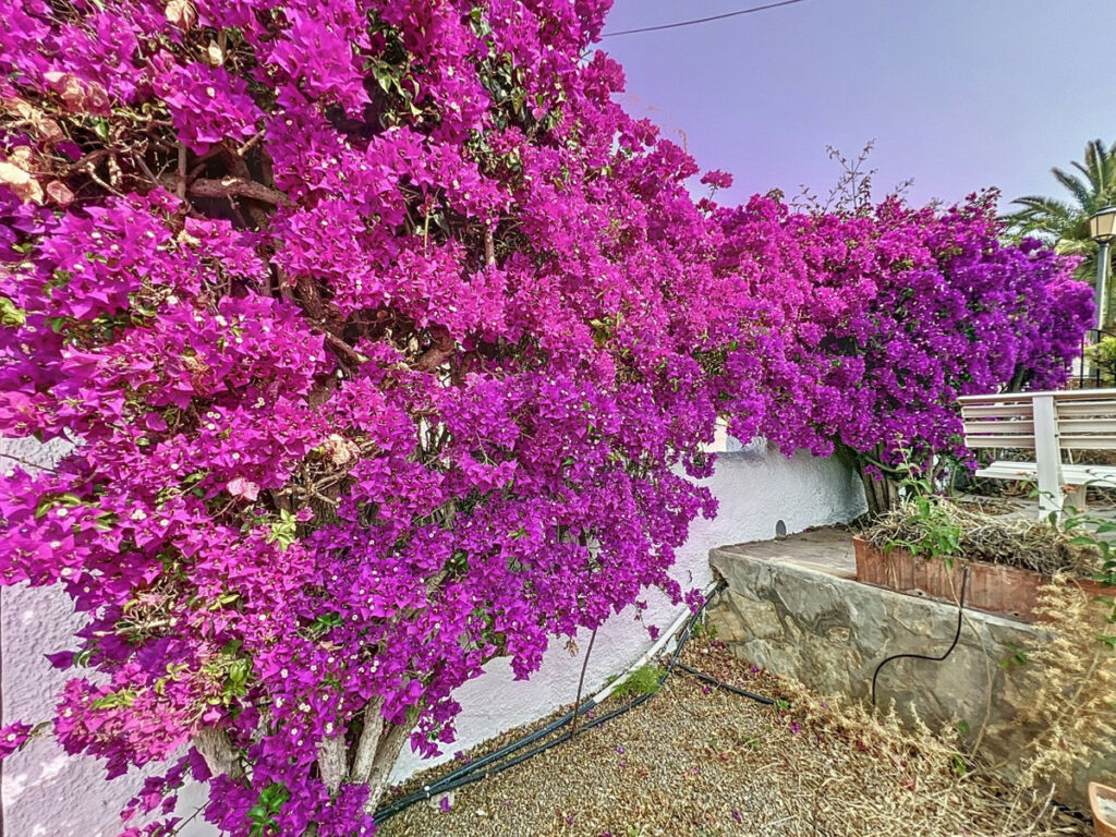 Detached Villa Caleta de Vélez Málaga - image 25