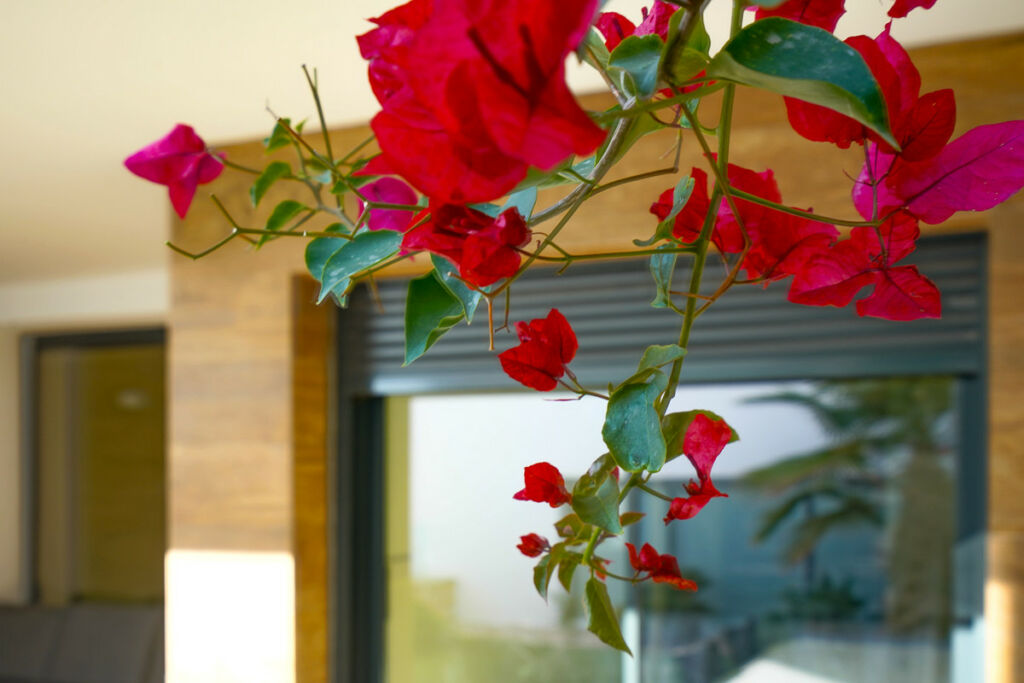 Ground Floor Apartment Benitachell Alicante - image 25