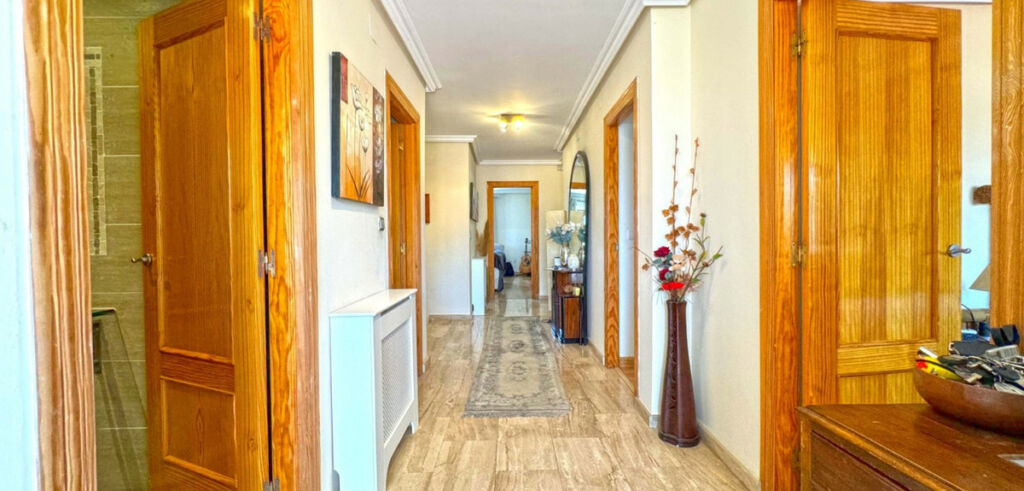 Detached Villa Torrevieja Alicante - image 26