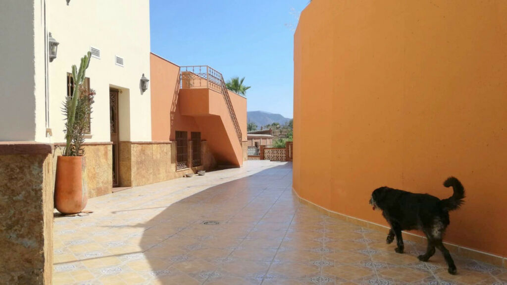 Detached Villa Estacion de Cartama Málaga - image 26