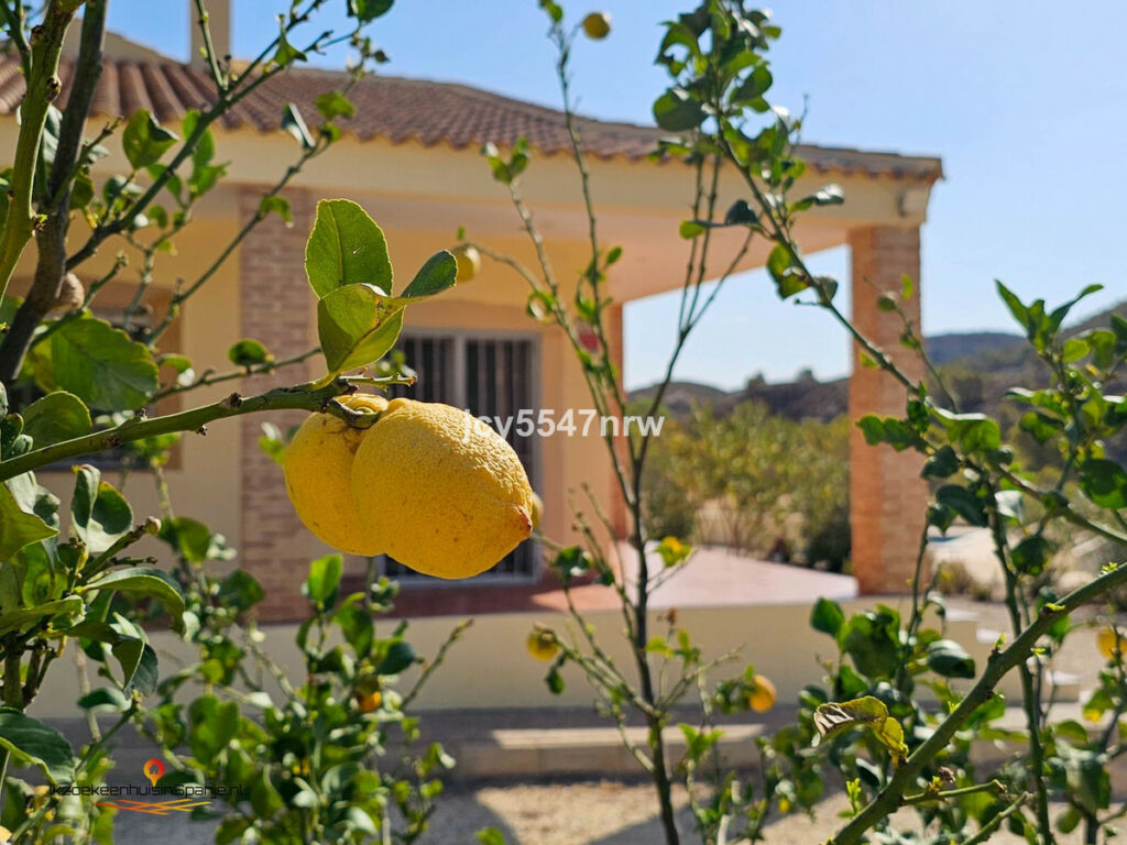 Detached Villa Fortuna Murcia - image 26