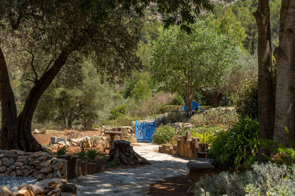 Finca - Cortijo Castell de Castells Alicante - image 26