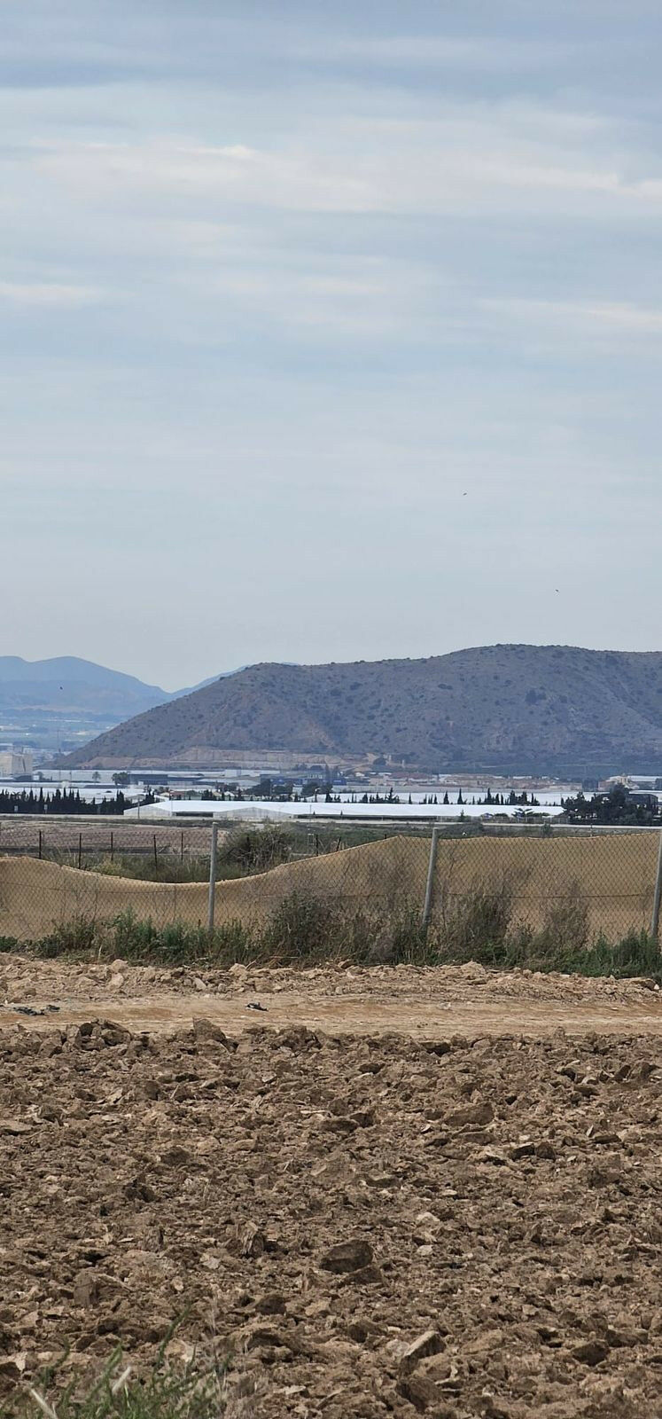 Commercial Plot Sucina Murcia - image 26