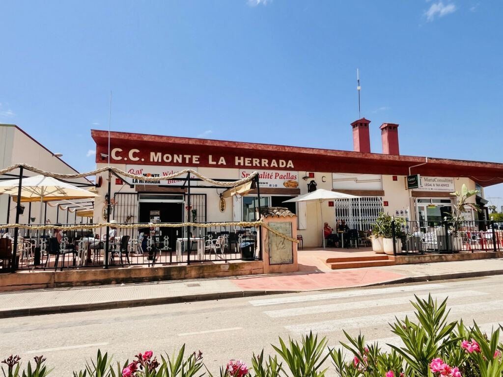 Detached Villa Torrevieja Alicante - image 27