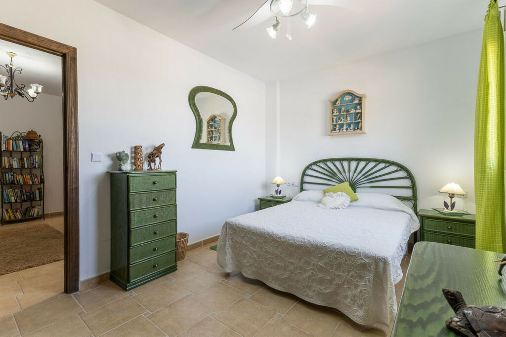 Detached Villa Algorfa Alicante - image 27
