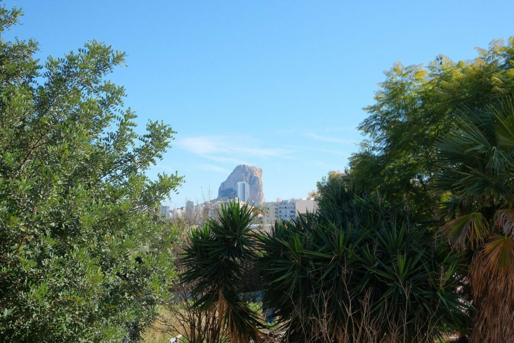 Detached Villa Calpe Alicante - image 27