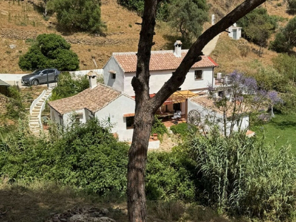 Finca - Cortijo Casares Málaga - image 27