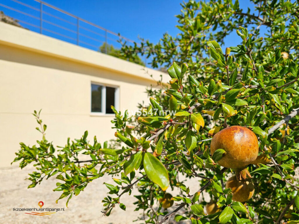 Detached Villa Fortuna Murcia - image 27
