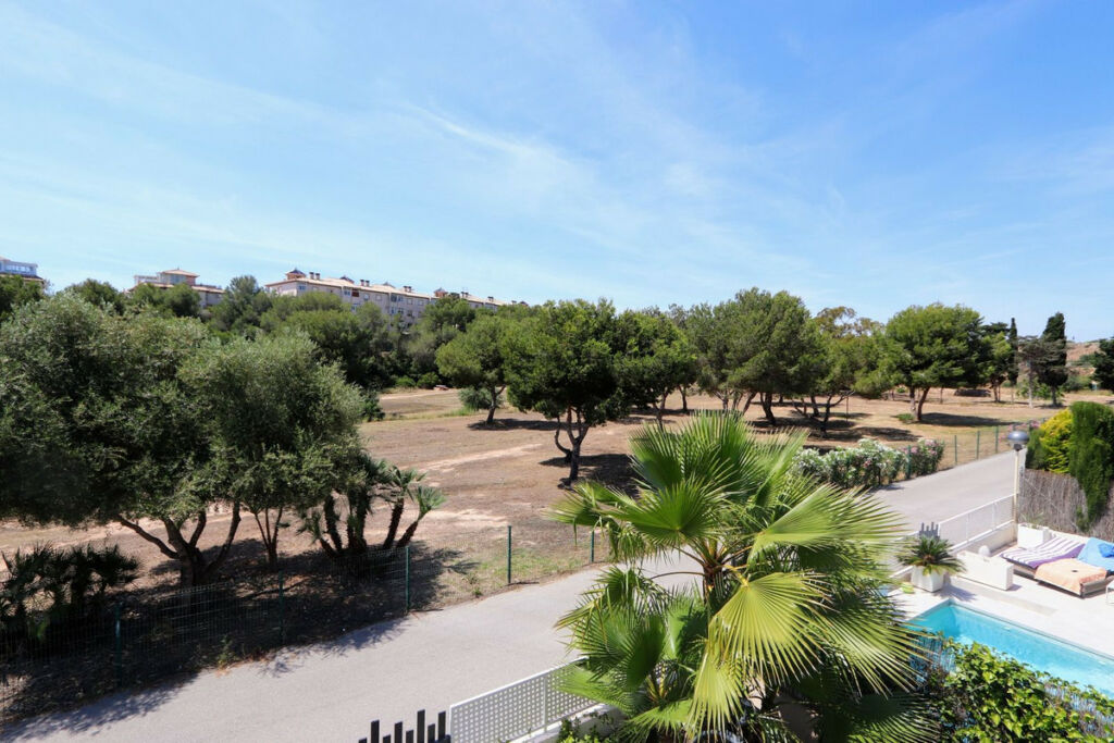 Detached Villa La Zenia Alicante - image 27