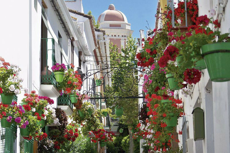 Detached Villa Estepona Málaga - image 27