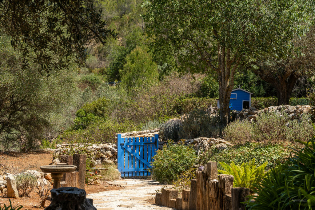 Finca - Cortijo Castell de Castells Alicante - image 27
