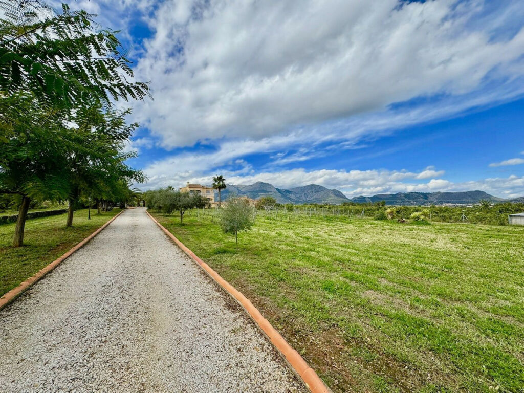 Finca - Cortijo Benidoleig Alicante - image 27