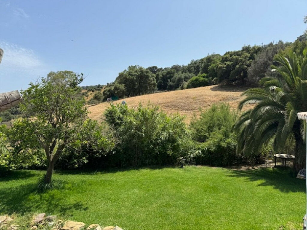Finca - Cortijo Casares Málaga - image 28